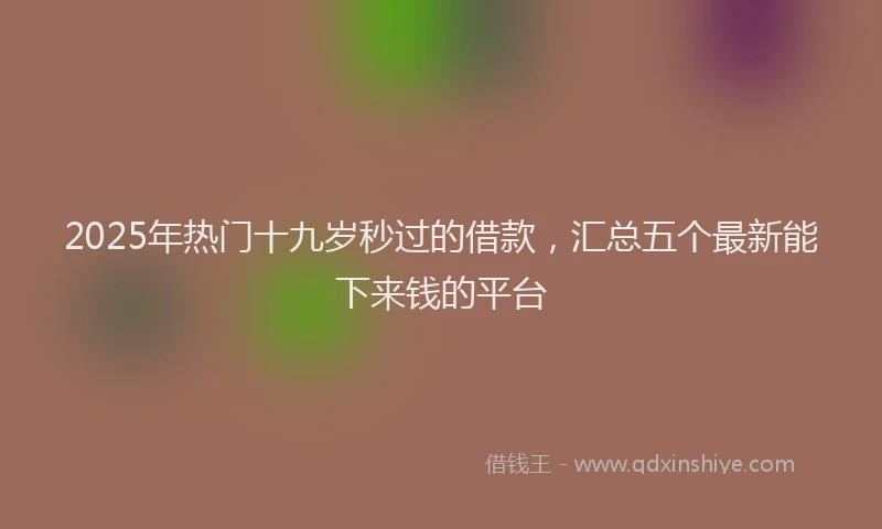2025年热门十九岁秒过的借款，汇总五个最新能下来钱的平台