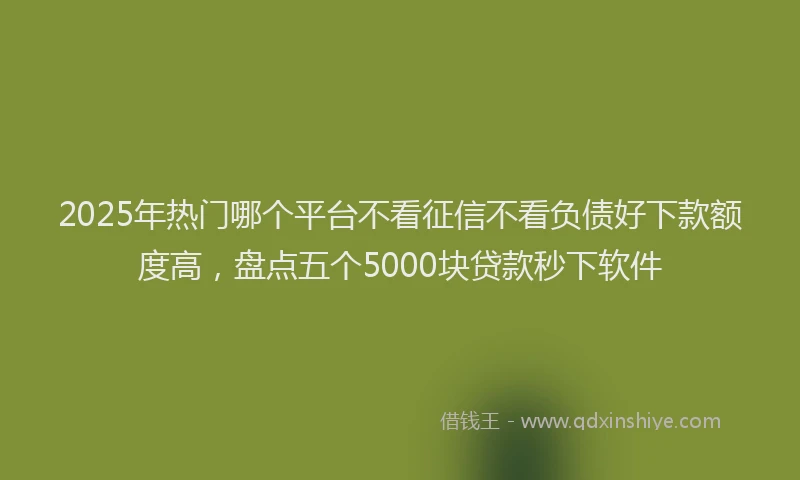 2025年热门哪个平台不看征信不看负债好下款额度高，盘点五个5000块贷款秒下软件