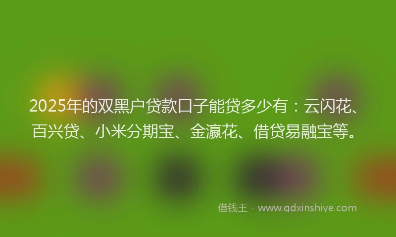 2025年的双黑户贷款口子能贷多少有：云闪花、百兴贷、小米分期宝、金瀛花、借贷易融宝等。