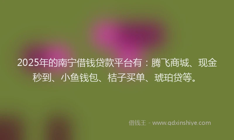 2025年的南宁借钱贷款平台有：腾飞商城、现金秒到、小鱼钱包、桔子买单、琥珀贷等。