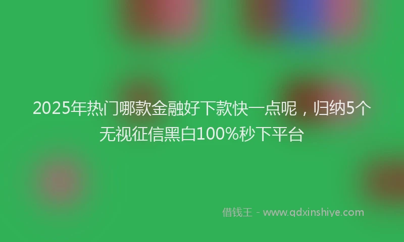 2025年热门哪款金融好下款快一点呢，归纳5个无视征信黑白100%秒下平台