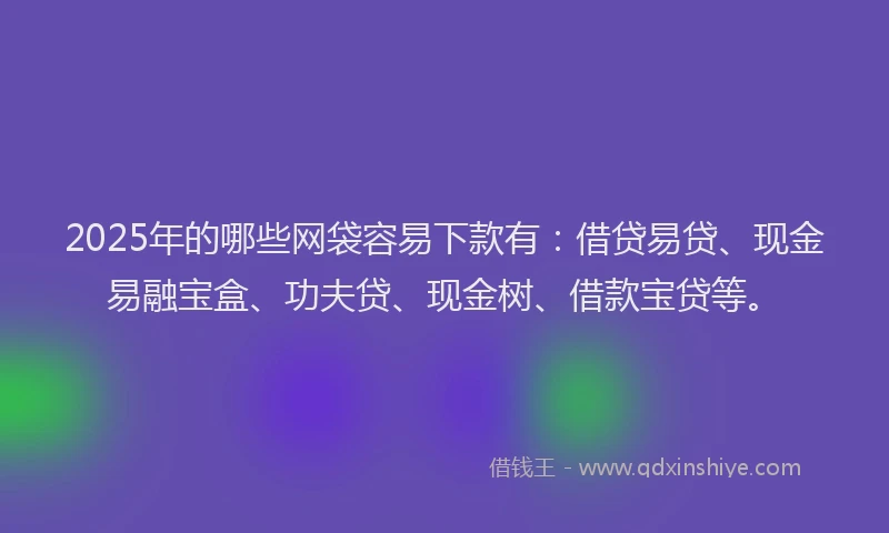 2025年的哪些网袋容易下款有：借贷易贷、现金易融宝盒、功夫贷、现金树、借款宝贷等。