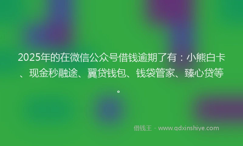 2025年的在微信公众号借钱逾期了有：小熊白卡、现金秒融途、翼贷钱包、钱袋管家、臻心贷等。