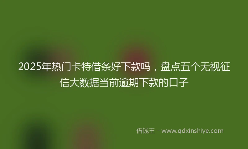 2025年热门卡特借条好下款吗，盘点五个无视征信大数据当前逾期下款的口子