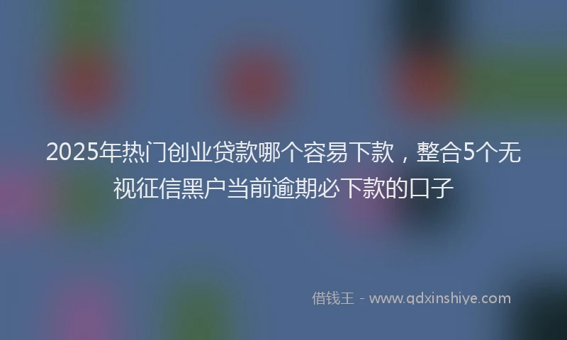 2025年热门创业贷款哪个容易下款，整合5个无视征信黑户当前逾期必下款的口子