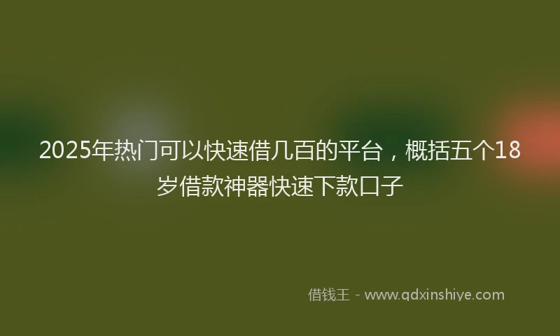 2025年热门可以快速借几百的平台，概括五个18岁借款神器快速下款口子