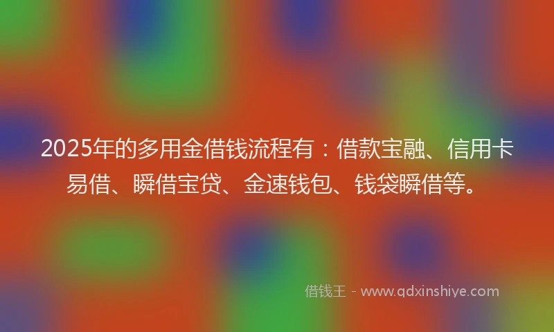 2025年的多用金借钱流程有：借款宝融、信用卡易借、瞬借宝贷、金速钱包、钱袋瞬借等。
