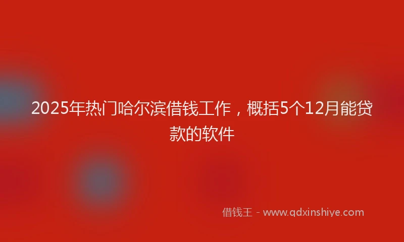 2025年热门哈尔滨借钱工作，概括5个12月能贷款的软件