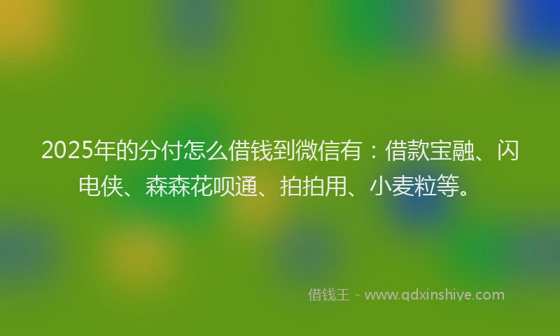 2025年的分付怎么借钱到微信有：借款宝融、闪电侠、森森花呗通、拍拍用、小麦粒等。