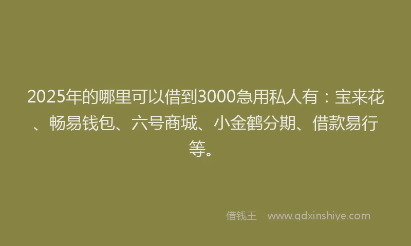 2025年的哪里可以借到3000急用私人有：宝来花、畅易钱包、六号商城、小金鹤分期、借款易行等。