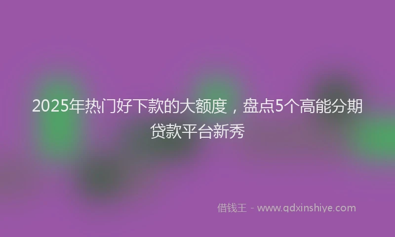 2025年热门好下款的大额度，盘点5个高能分期贷款平台新秀