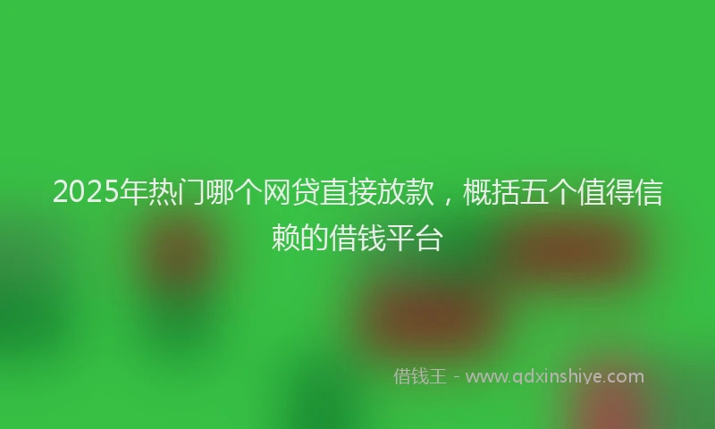 2025年热门哪个网贷直接放款，概括五个值得信赖的借钱平台