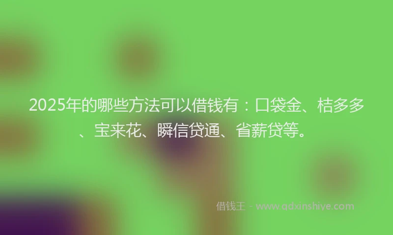 2025年的哪些方法可以借钱有：口袋金、桔多多、宝来花、瞬信贷通、省薪贷等。