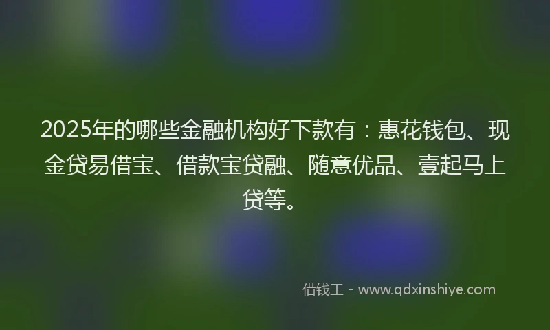 2025年的哪些金融机构好下款有：惠花钱包、现金贷易借宝、借款宝贷融、随意优品、壹起马上贷等。