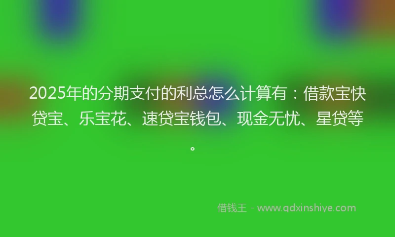 2025年的分期支付的利总怎么计算有：借款宝快贷宝、乐宝花、速贷宝钱包、现金无忧、星贷等。