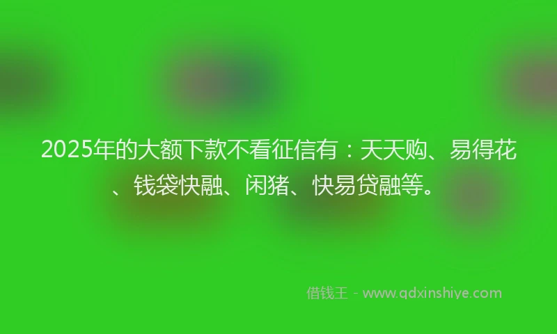 2025年的大额下款不看征信有：天天购、易得花、钱袋快融、闲猪、快易贷融等。