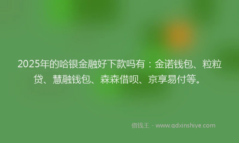2025年的哈银金融好下款吗有：金诺钱包、粒粒贷、慧融钱包、森森借呗、京享易付等。