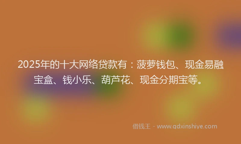 2025年的十大网络贷款有：菠萝钱包、现金易融宝盒、钱小乐、葫芦花、现金分期宝等。