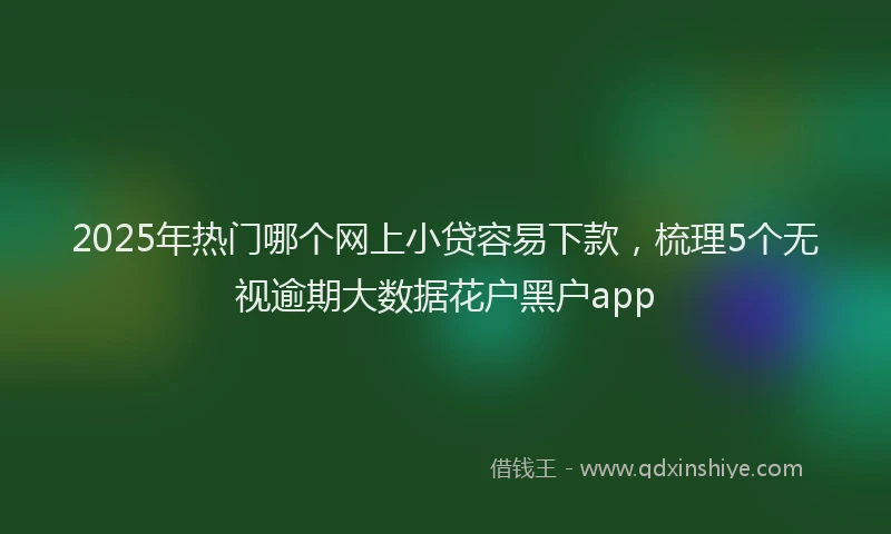 2025年热门哪个网上小贷容易下款，梳理5个无视逾期大数据花户黑户app