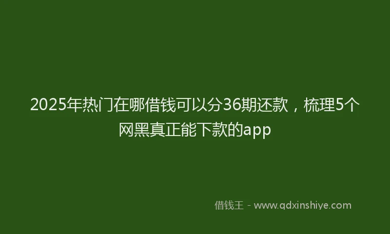 2025年热门在哪借钱可以分36期还款，梳理5个网黑真正能下款的app