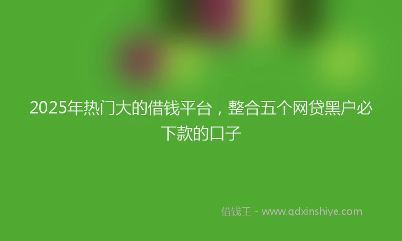 2025年热门大的借钱平台，整合五个网贷黑户必下款的口子