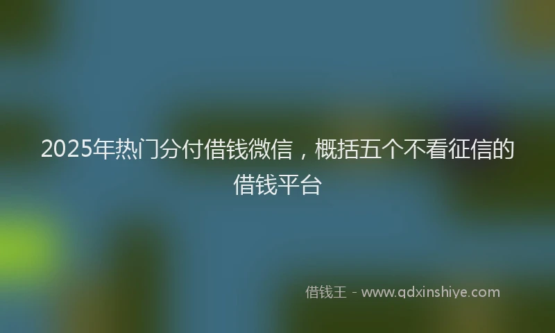 2025年热门分付借钱微信，概括五个不看征信的借钱平台