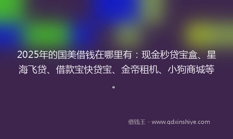 2025年的国美借钱在哪里有：现金秒贷宝盒、星海飞贷、借款宝快贷宝、金帝租机、小狗商城等。