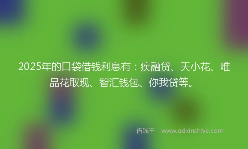 2025年的口袋借钱利息有：疾融贷、天小花、唯品花取现、智汇钱包、你我贷等。