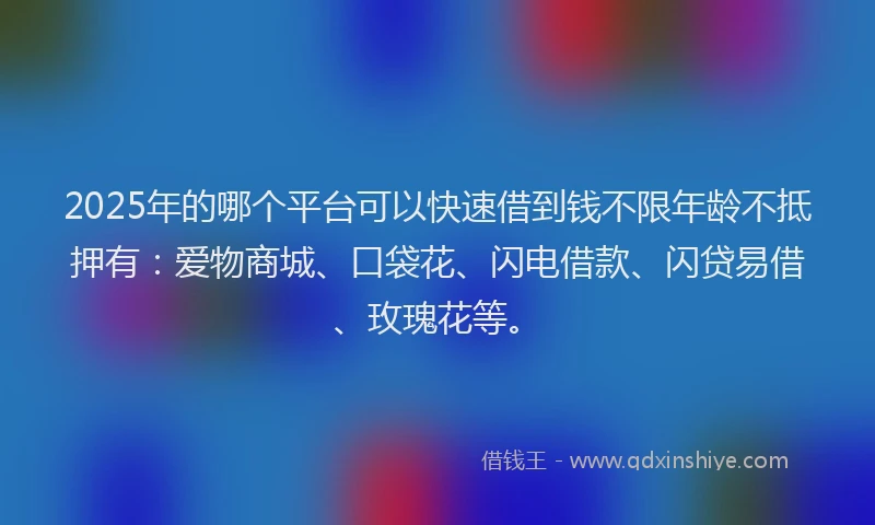2025年的哪个平台可以快速借到钱不限年龄不抵押有：爱物商城、口袋花、闪电借款、闪贷易借、玫瑰花等。