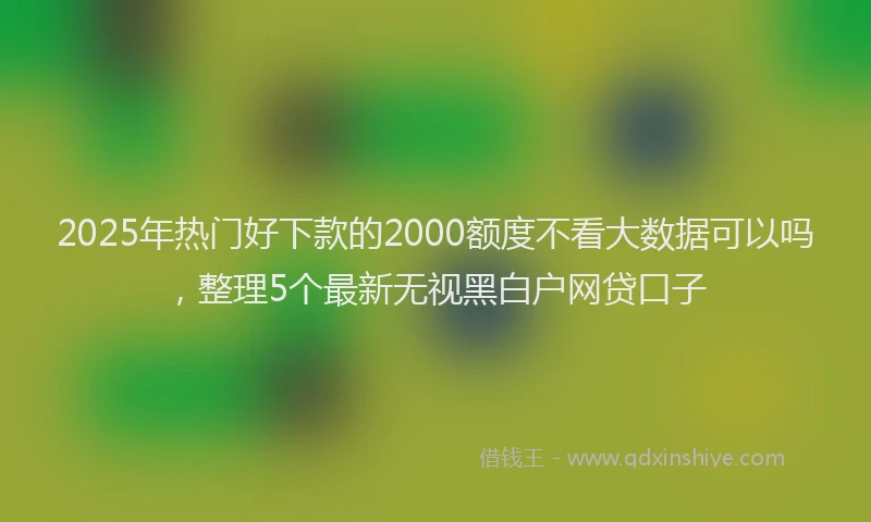 2025年热门好下款的2000额度不看大数据可以吗，整理5个最新无视黑白户网贷口子