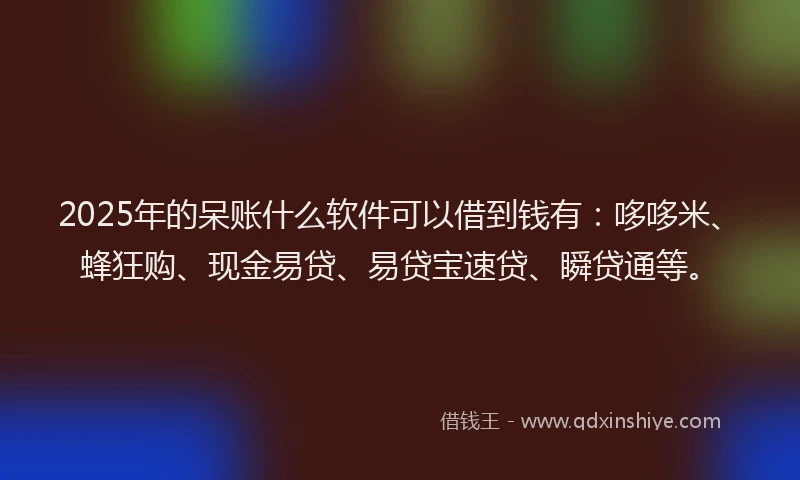 2025年的呆账什么软件可以借到钱有：哆哆米、蜂狂购、现金易贷、易贷宝速贷、瞬贷通等。