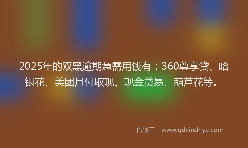 2025年的双黑逾期急需用钱有：360尊享贷、哈银花、美团月付取现、现金贷易、葫芦花等。