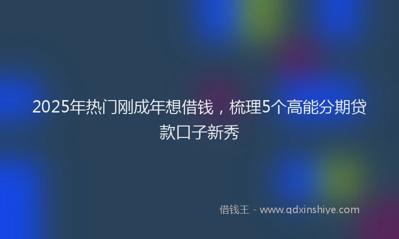 2025年热门刚成年想借钱，梳理5个高能分期贷款口子新秀