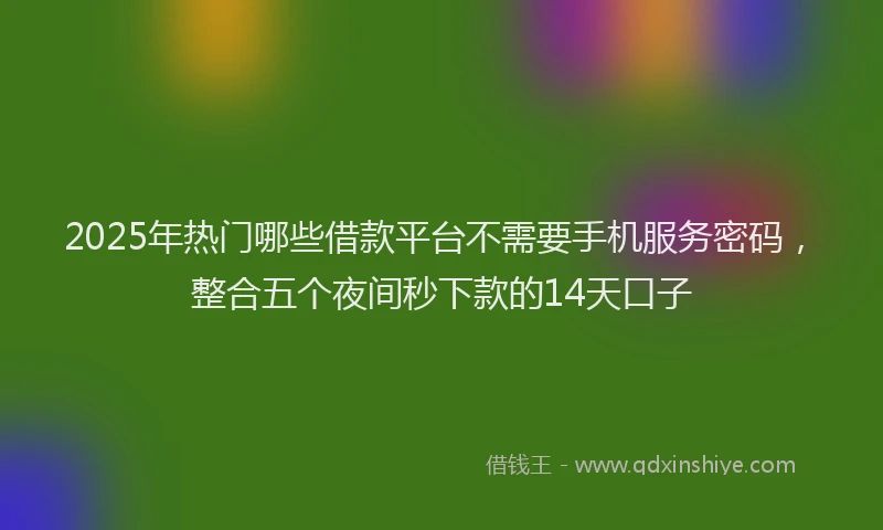 2025年热门哪些借款平台不需要手机服务密码，整合五个夜间秒下款的14天口子