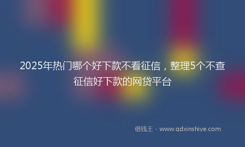 2025年热门哪个好下款不看征信，整理5个不查征信好下款的网贷平台