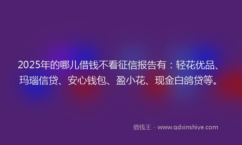 2025年的哪儿借钱不看征信报告有：轻花优品、玛瑙信贷、安心钱包、盈小花、现金白鸽贷等。