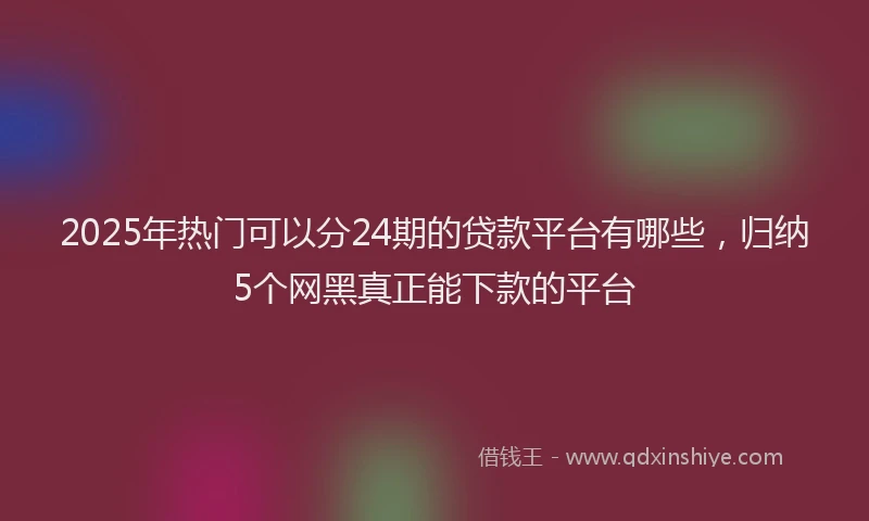 2025年热门可以分24期的贷款平台有哪些，归纳5个网黑真正能下款的平台