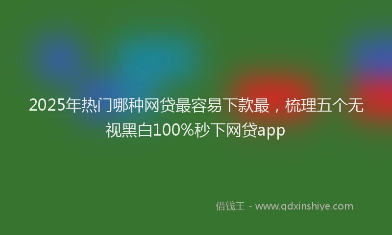 2025年热门哪种网贷最容易下款最，梳理五个无视黑白100%秒下网贷app
