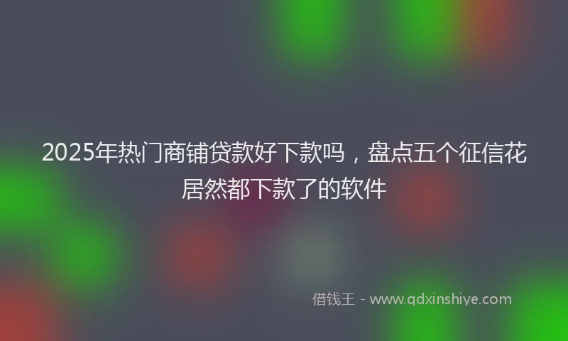 2025年热门商铺贷款好下款吗，盘点五个征信花居然都下款了的软件