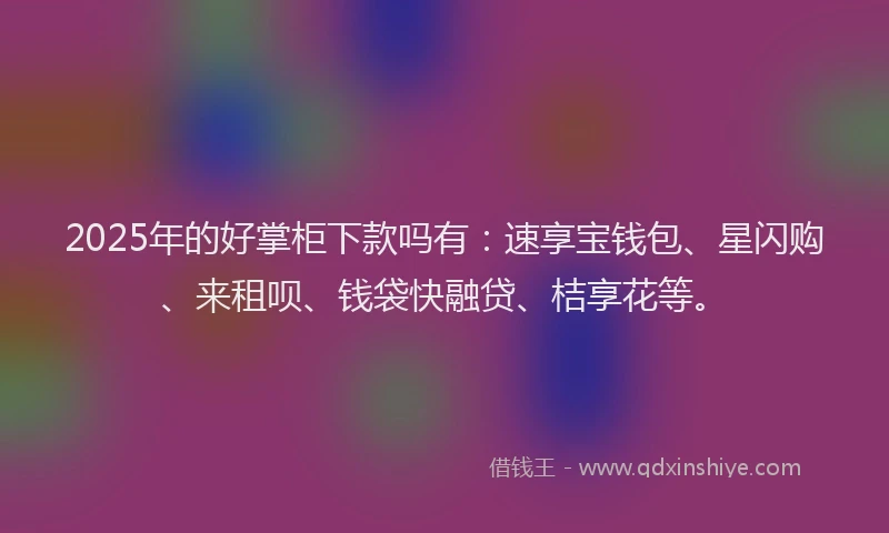 2025年的好掌柜下款吗有：速享宝钱包、星闪购、来租呗、钱袋快融贷、桔享花等。