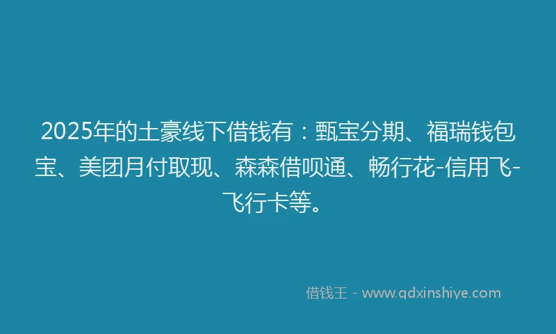 2025年的土豪线下借钱有：甄宝分期、福瑞钱包宝、美团月付取现、森森借呗通、畅行花-信用飞-飞行卡等。