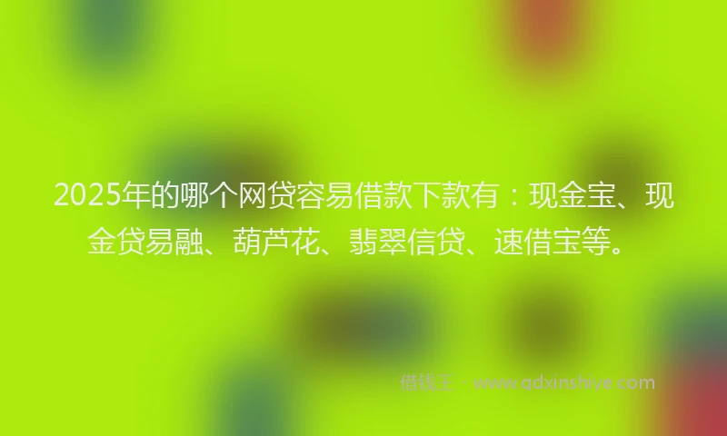 2025年的哪个网贷容易借款下款有：现金宝、现金贷易融、葫芦花、翡翠信贷、速借宝等。