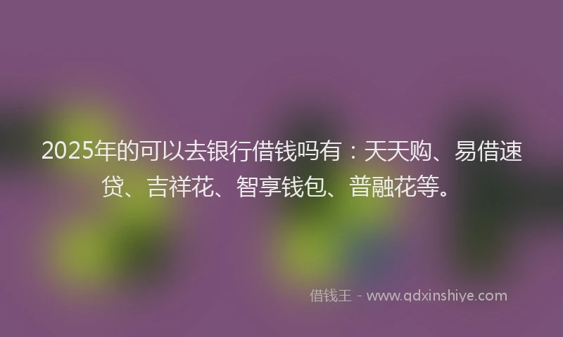 2025年的可以去银行借钱吗有：天天购、易借速贷、吉祥花、智享钱包、普融花等。
