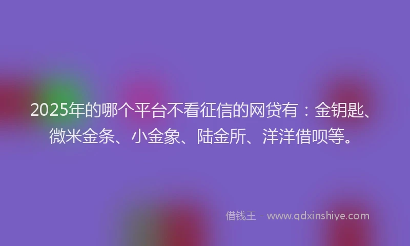 2025年的哪个平台不看征信的网贷有：金钥匙、微米金条、小金象、陆金所、洋洋借呗等。