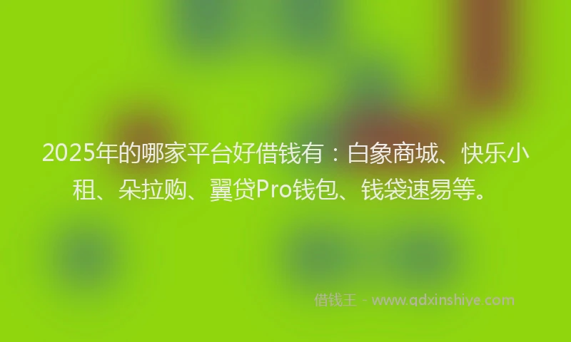 2025年的哪家平台好借钱有：白象商城、快乐小租、朵拉购、翼贷Pro钱包、钱袋速易等。