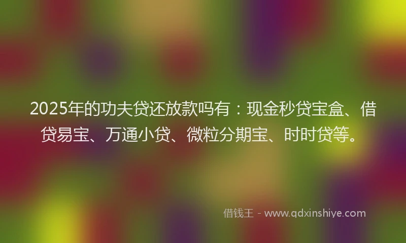 2025年的功夫贷还放款吗有：现金秒贷宝盒、借贷易宝、万通小贷、微粒分期宝、时时贷等。