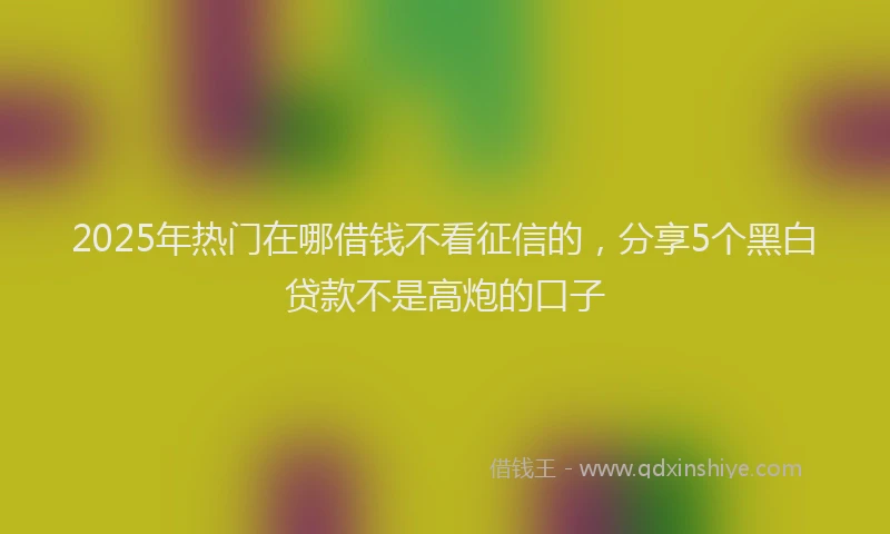 2025年热门在哪借钱不看征信的，分享5个黑白贷款不是高炮的口子