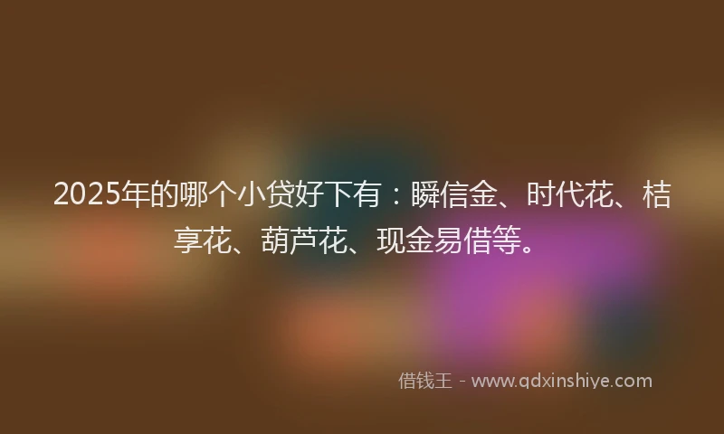 2025年的哪个小贷好下有：瞬信金、时代花、桔享花、葫芦花、现金易借等。