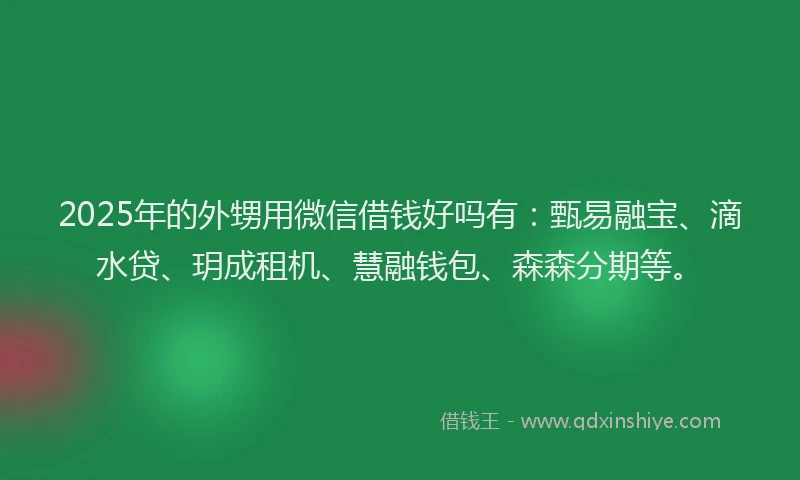 2025年的外甥用微信借钱好吗有：甄易融宝、滴水贷、玥成租机、慧融钱包、森森分期等。