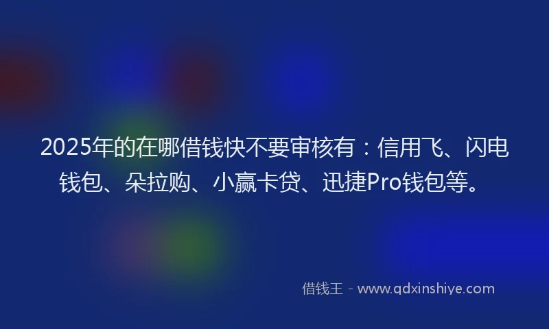 2025年的在哪借钱快不要审核有：信用飞、闪电钱包、朵拉购、小赢卡贷、迅捷Pro钱包等。